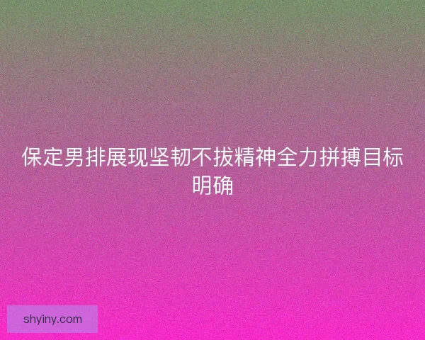 保定男排展现坚韧不拔精神全力拼搏目标明确